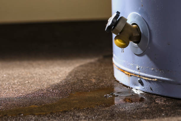 Best Water Damage Assessment and Inspection in Redding, CA