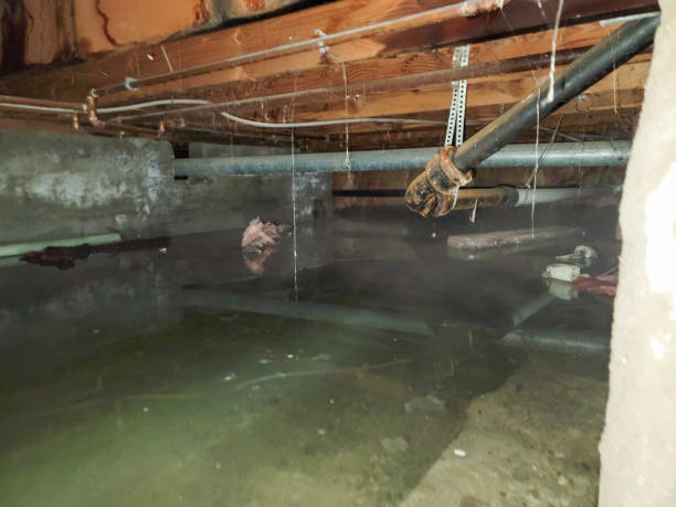 Best Residential Water Damage Restoration in Redding, CA